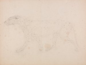 A Comparative Anatomical Exposition of the Structure of the Human Body with that of a Tiger and a Cow by George Stubbs